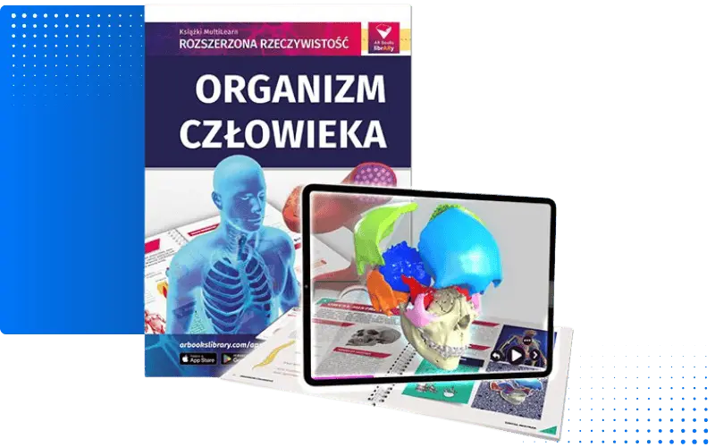 Organizm człowieka